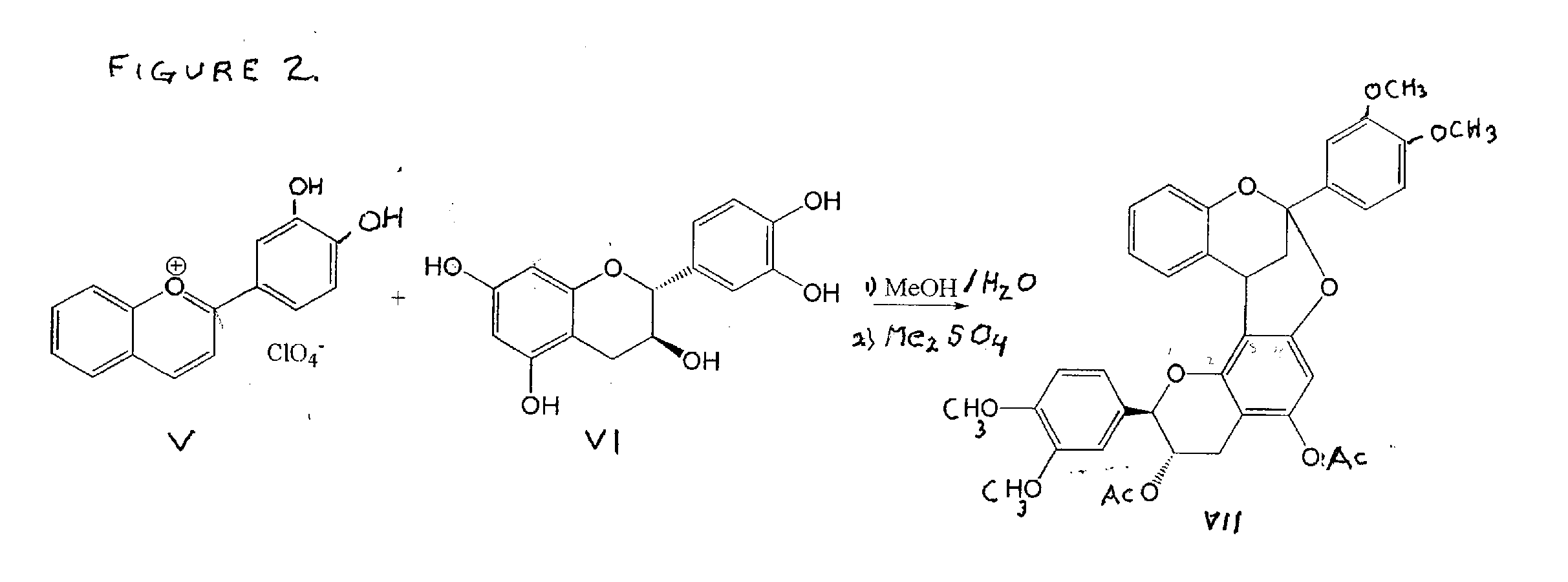 Synthesis of polycyclic procyanidins