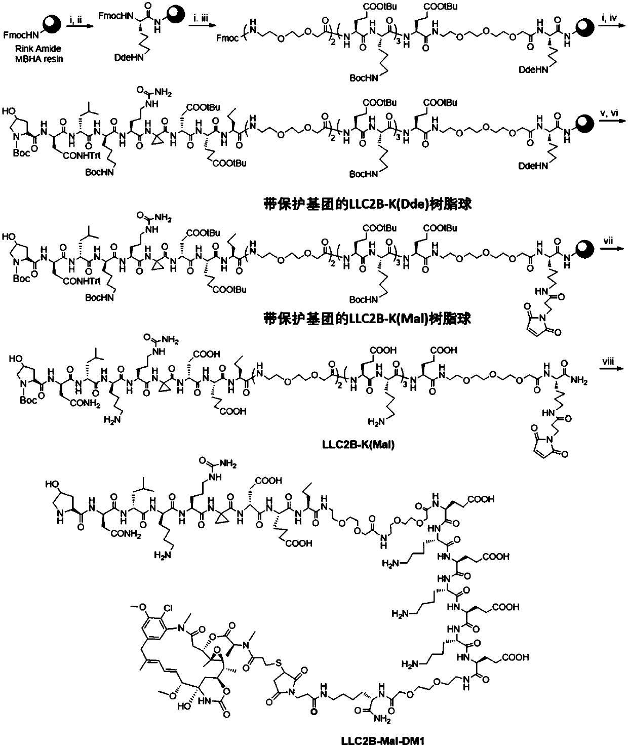 Multi-target-point anti-tumor polypeptide medicine conjugate and preparation method and application thereof