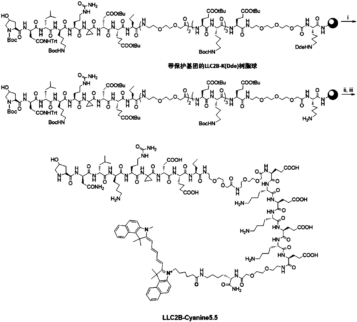 Multi-target-point anti-tumor polypeptide medicine conjugate and preparation method and application thereof