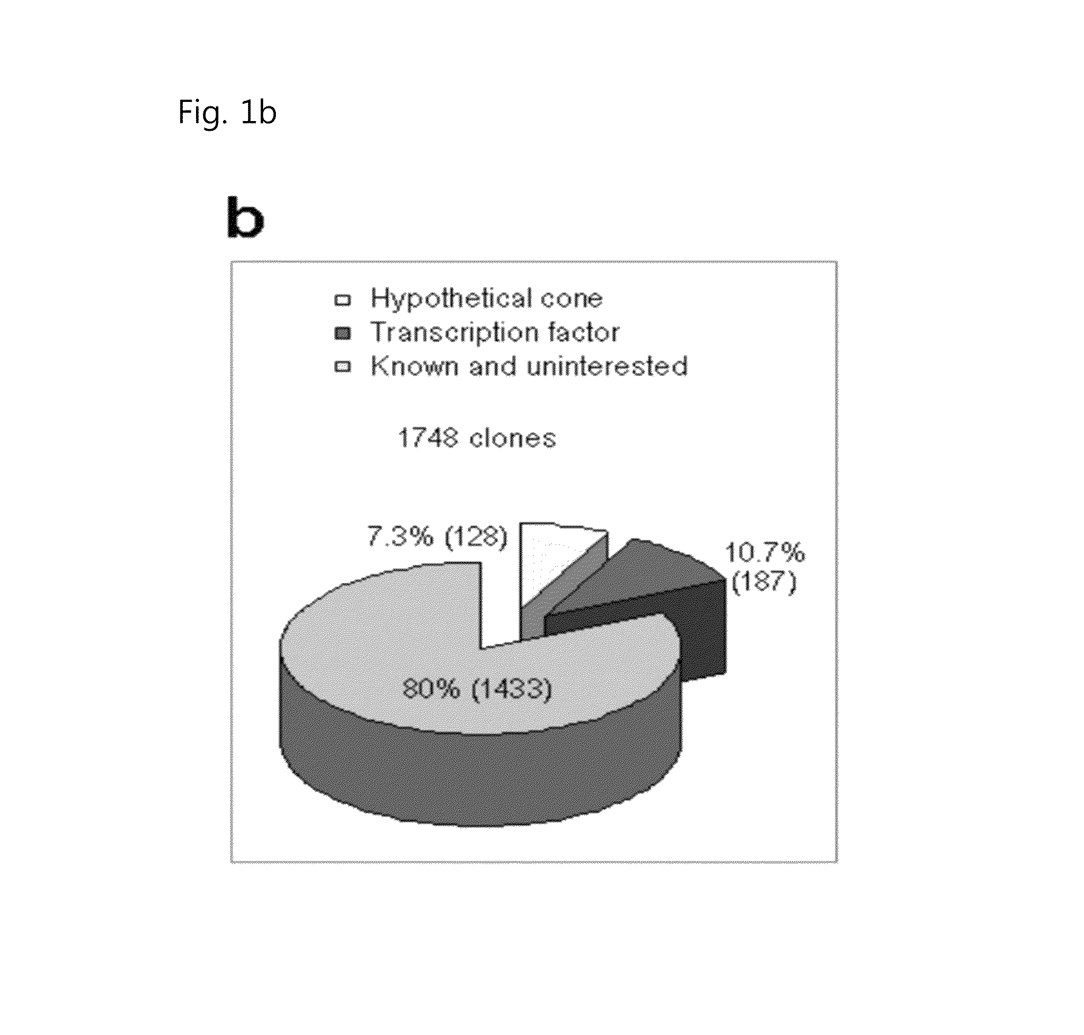 Pharmaceutical composition including an HIF-2 alpha inhibitor as an active ingredient for preventing or treating arthritis