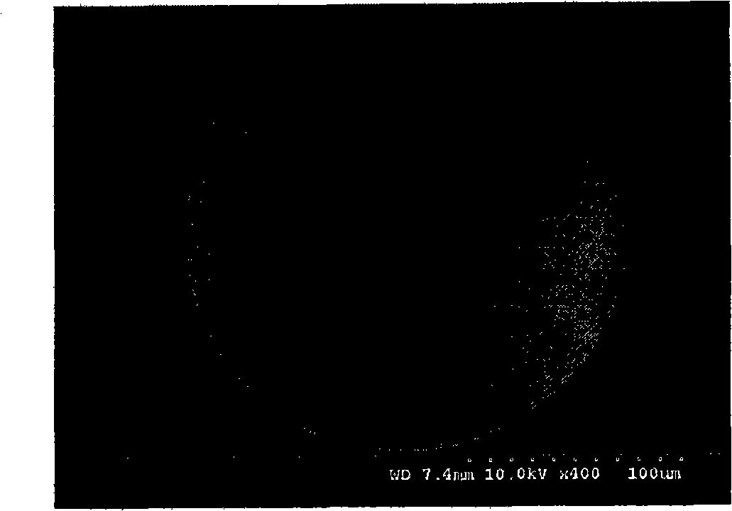 Method for self-assembling preparing colloidal photonic crystals and improving mechanical stability