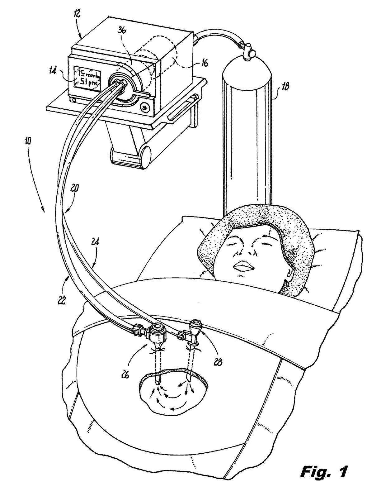 Gas circulation system with single lumen gas sealed access port and single lumen valve sealed access port for use during endoscopic surgical procedures