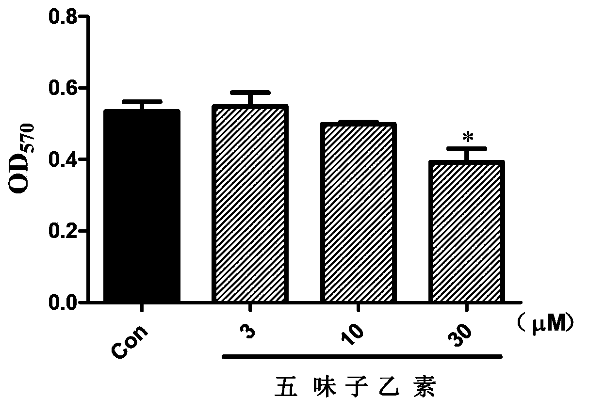 Use of schisandrin B in anti-liver fibrosis