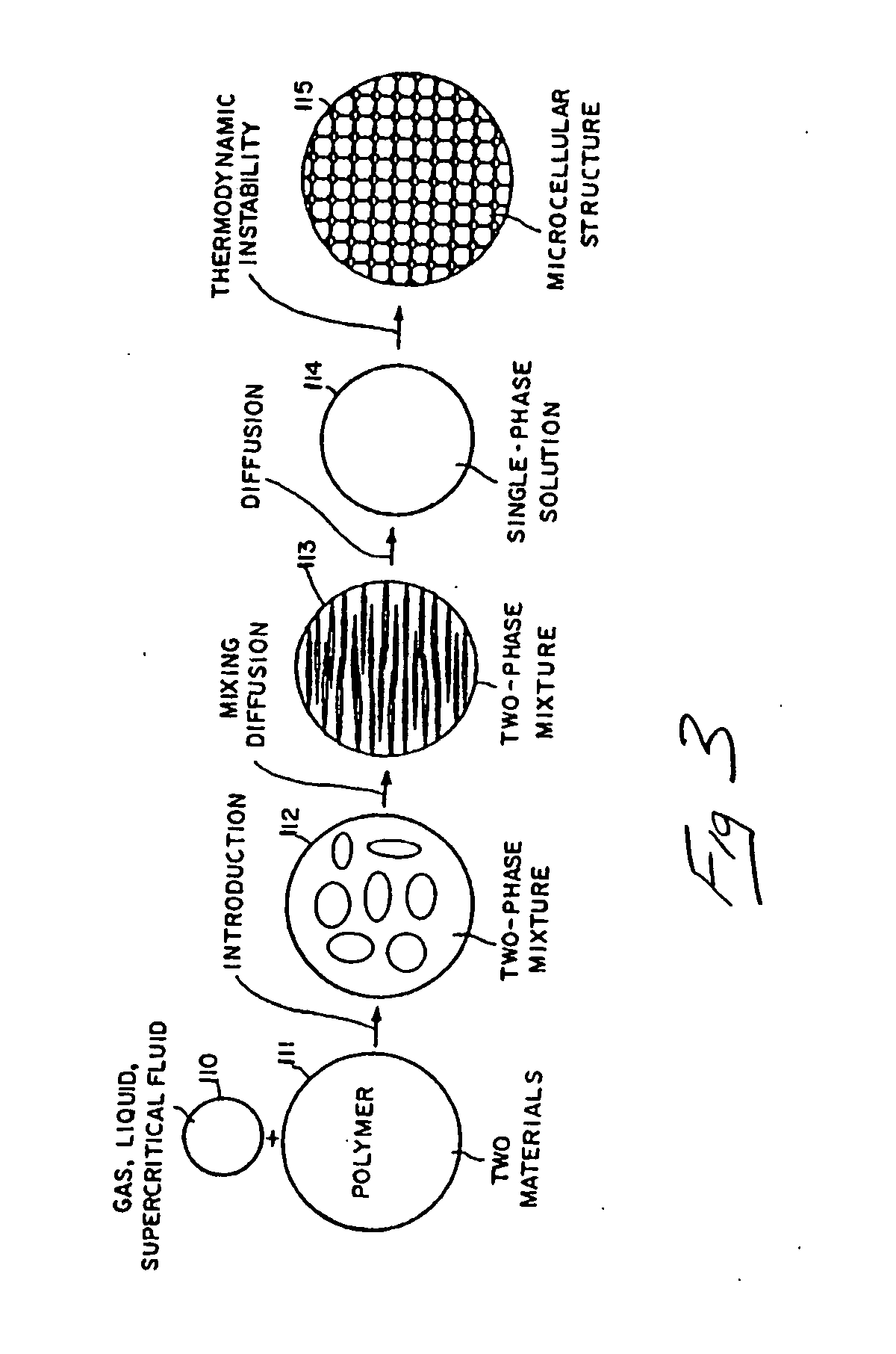 Thermoplastic vehicle weather stripping