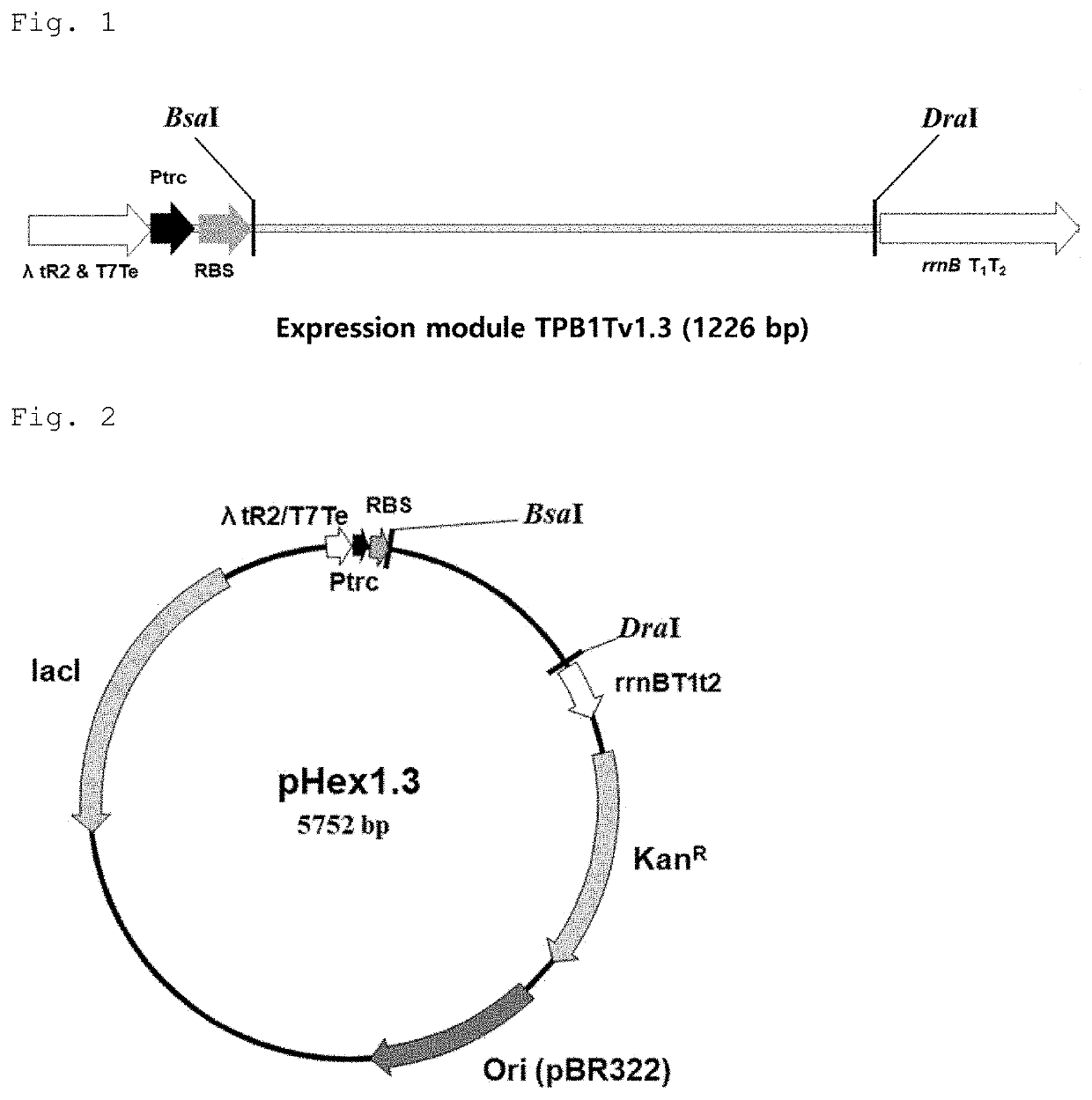 Crm197 protein expression method