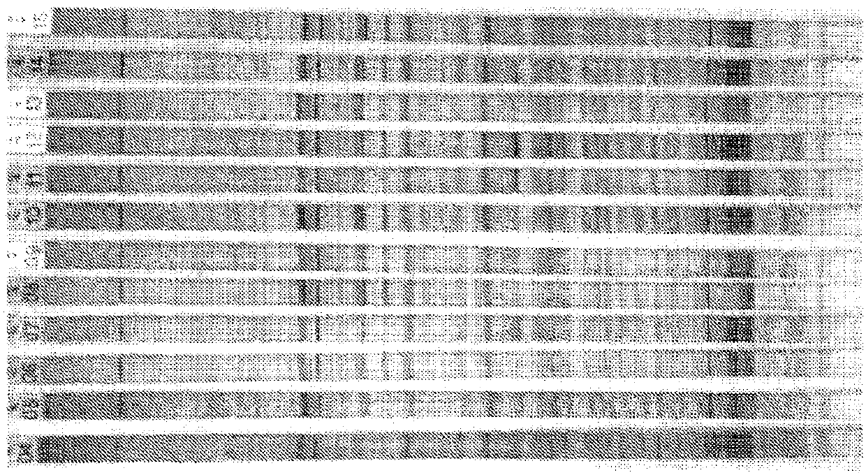 Antibody profiling sensitivity through increased reporter antibody layering