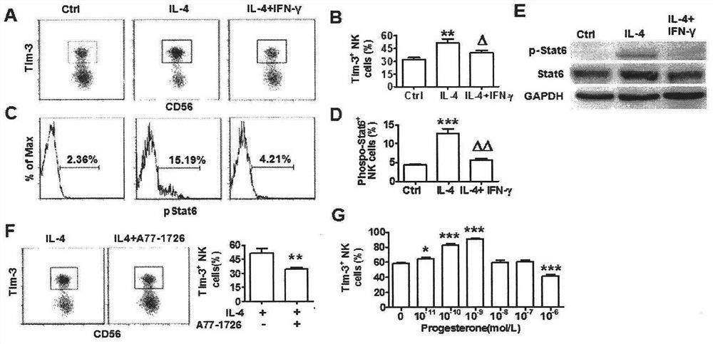 Use of peripheral blood NK cells expressing tim-3 in the preparation of biomarkers of spontaneous abortion