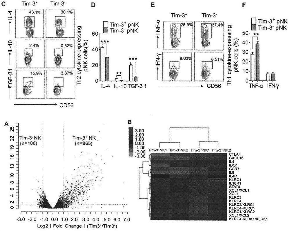 Use of peripheral blood NK cells expressing tim-3 in the preparation of biomarkers of spontaneous abortion