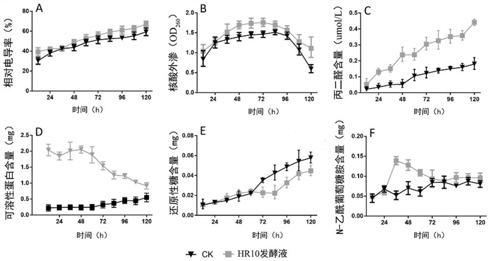 New application of bacillus pumilus HR10 in prevention and treatment of forest diseases