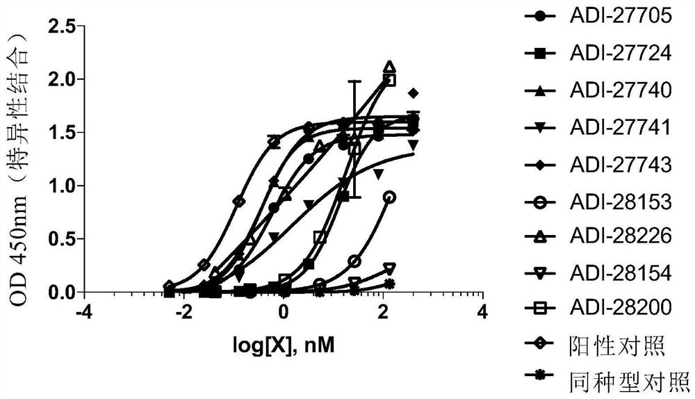 Multispecific binding proteins targeting CAIX, ANO1, mesothelin,TROP2, or claudin-18.2