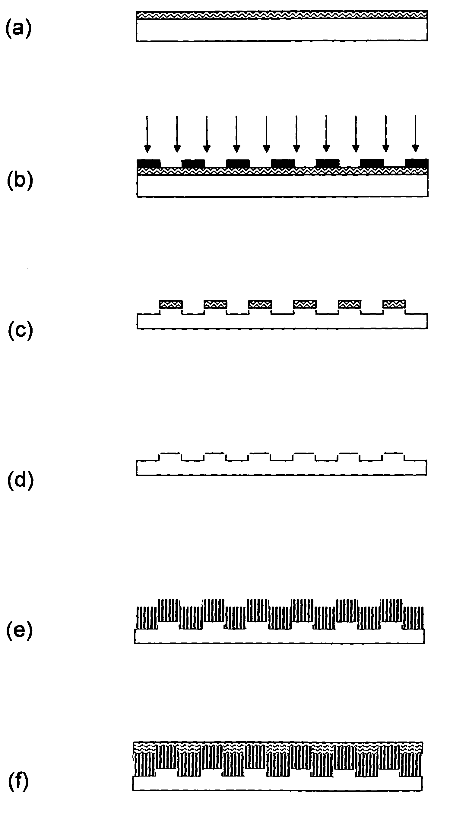 Method of fabricating electrode catalyst layers with directionally oriented carbon support for proton exchange membrane fuel cell