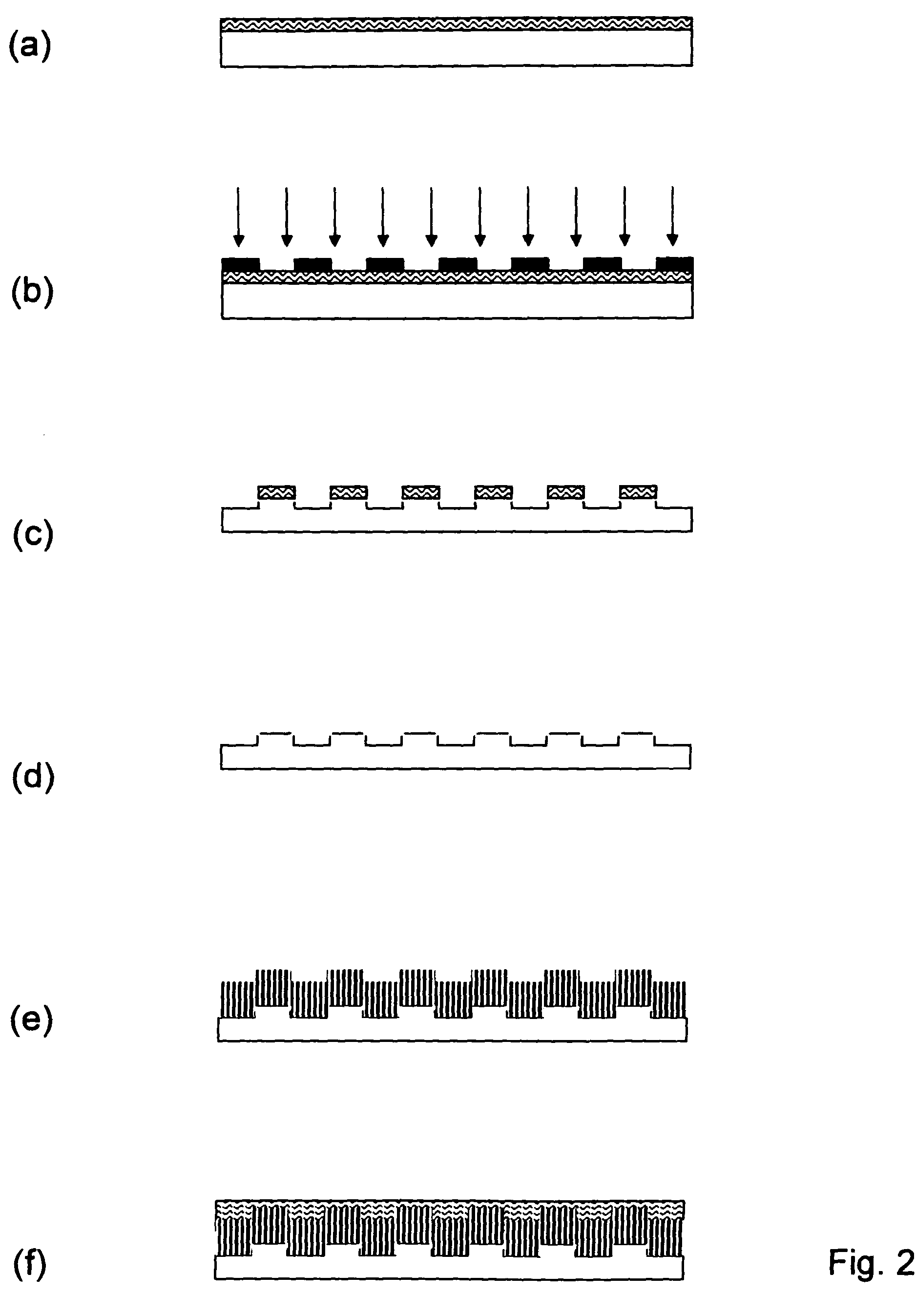 Method of fabricating electrode catalyst layers with directionally oriented carbon support for proton exchange membrane fuel cell