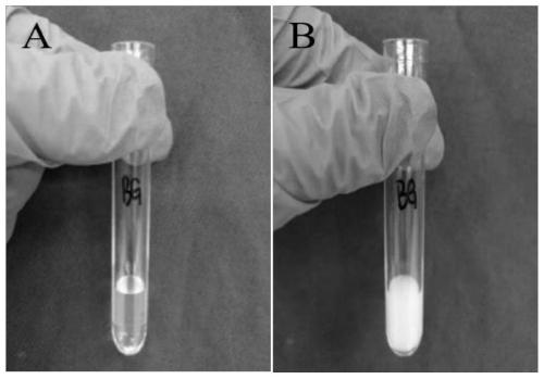 A kind of biological 3D printing ink and preparation method thereof