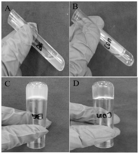 A kind of biological 3D printing ink and preparation method thereof