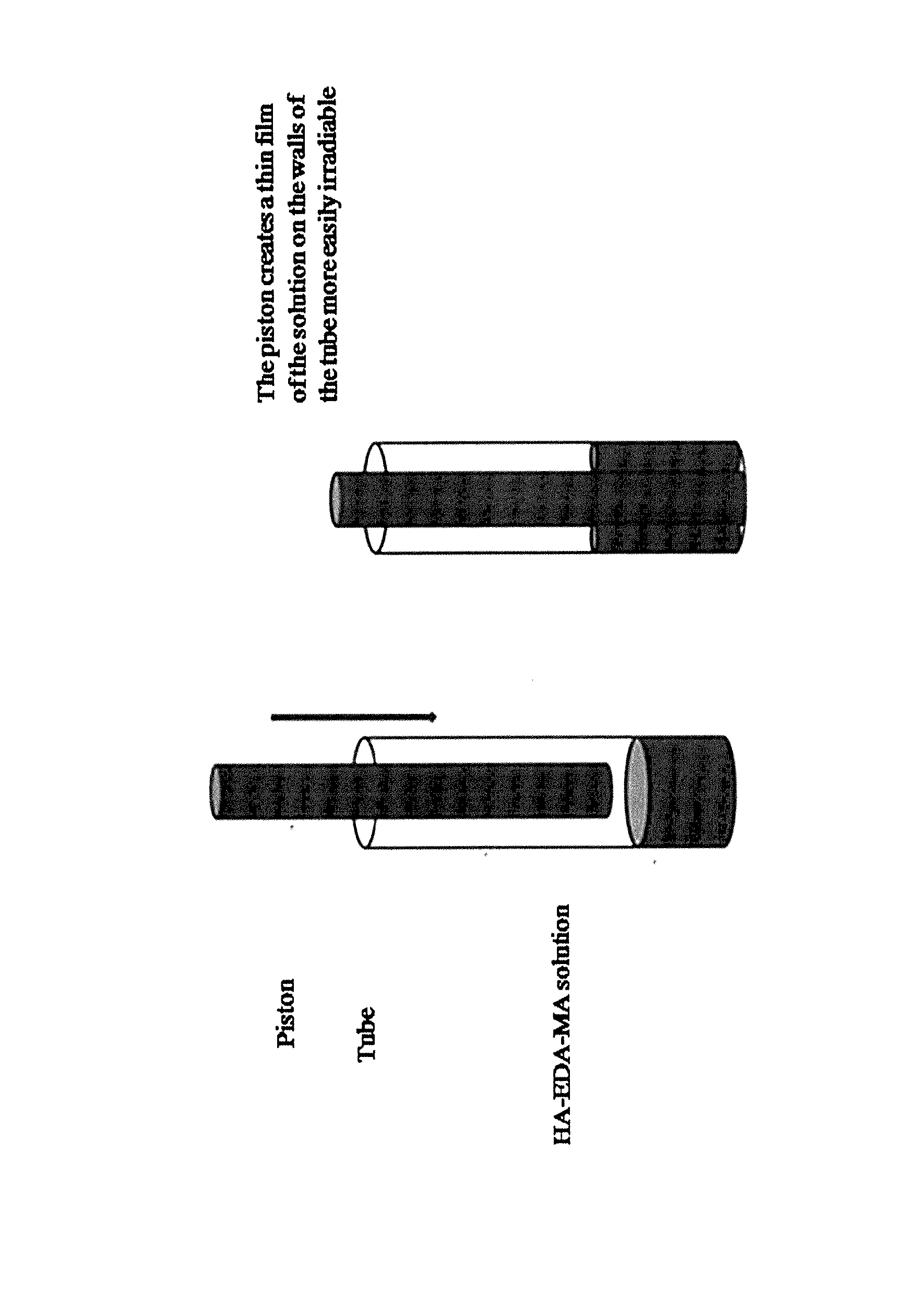 Hydrogels of methacrylic hyaluronic acid derivatives for oral enzyme therapy in celiac disease