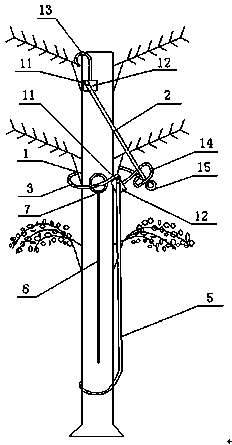 Method for preventing coconut tree plant branch leaves from falling off