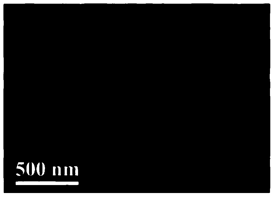 Preparation method of gold and silver nanowire SERS sensor for detecting lung cancer marker miR-196a and sensor