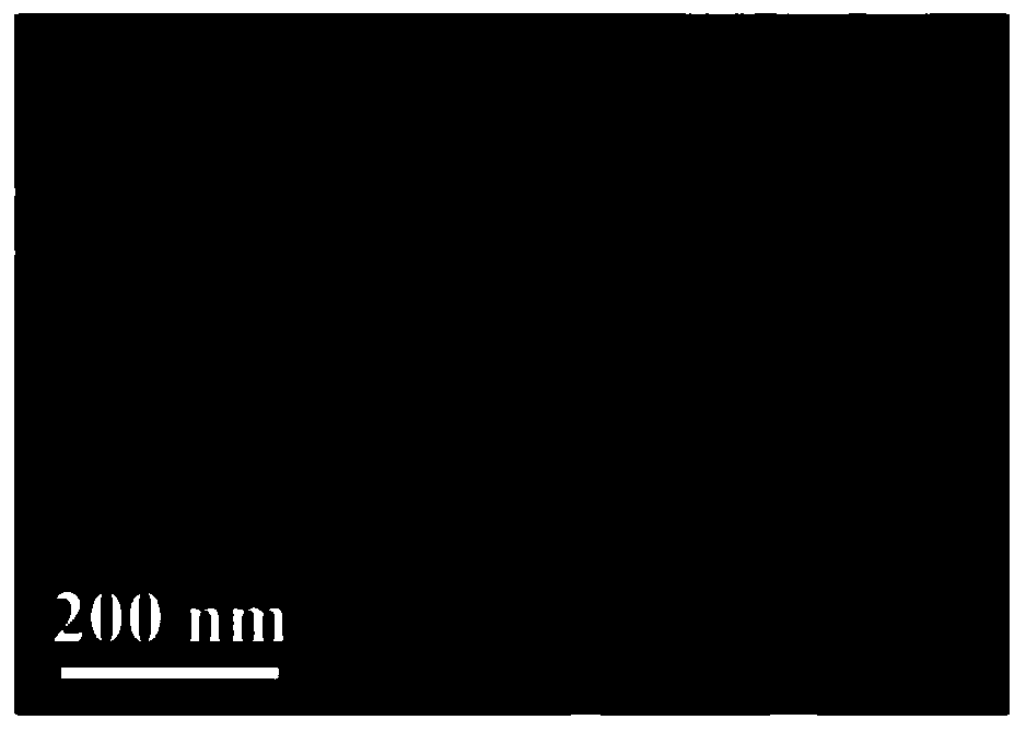 Preparation method of gold and silver nanowire SERS sensor for detecting lung cancer marker miR-196a and sensor