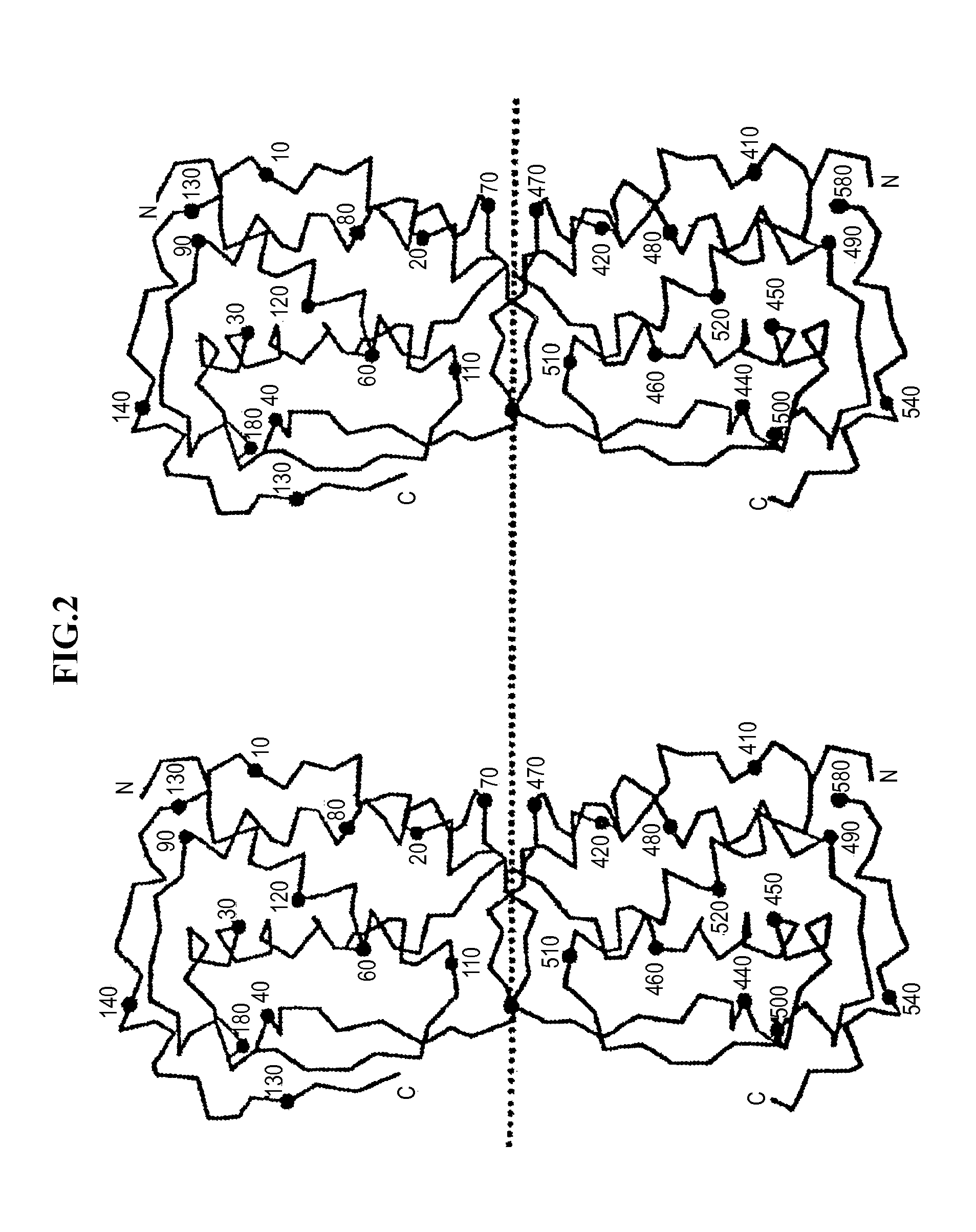 Soluble human m-csf receptor and uses thereof