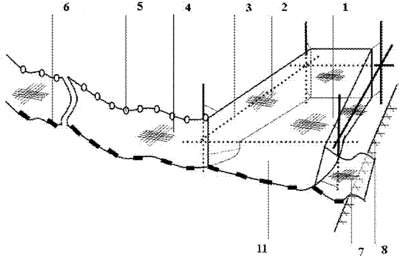 Fishing tool for macrobrachium nipponensis seeds and using method for fishing tool