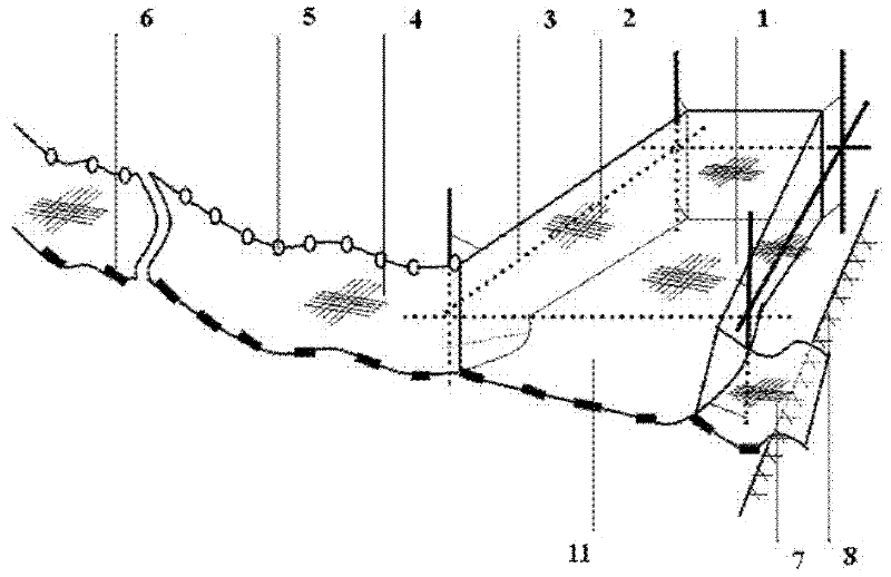 Fishing tool for macrobrachium nipponensis seeds and using method for fishing tool