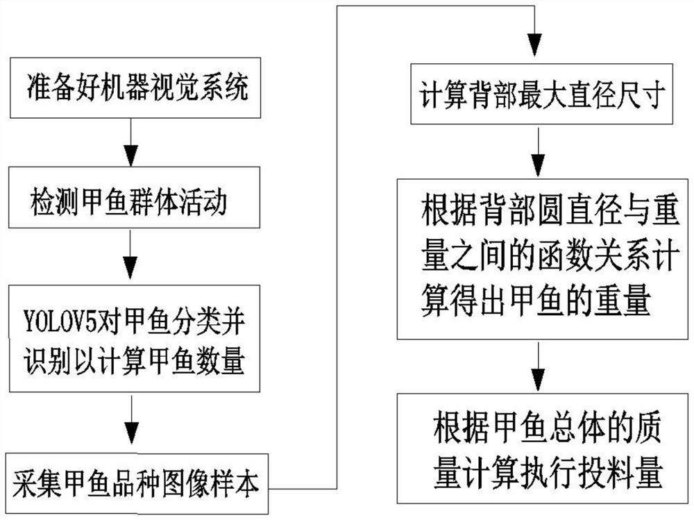 Automatic throwing device for positioning water surface target through vision and control method of automatic throwing device