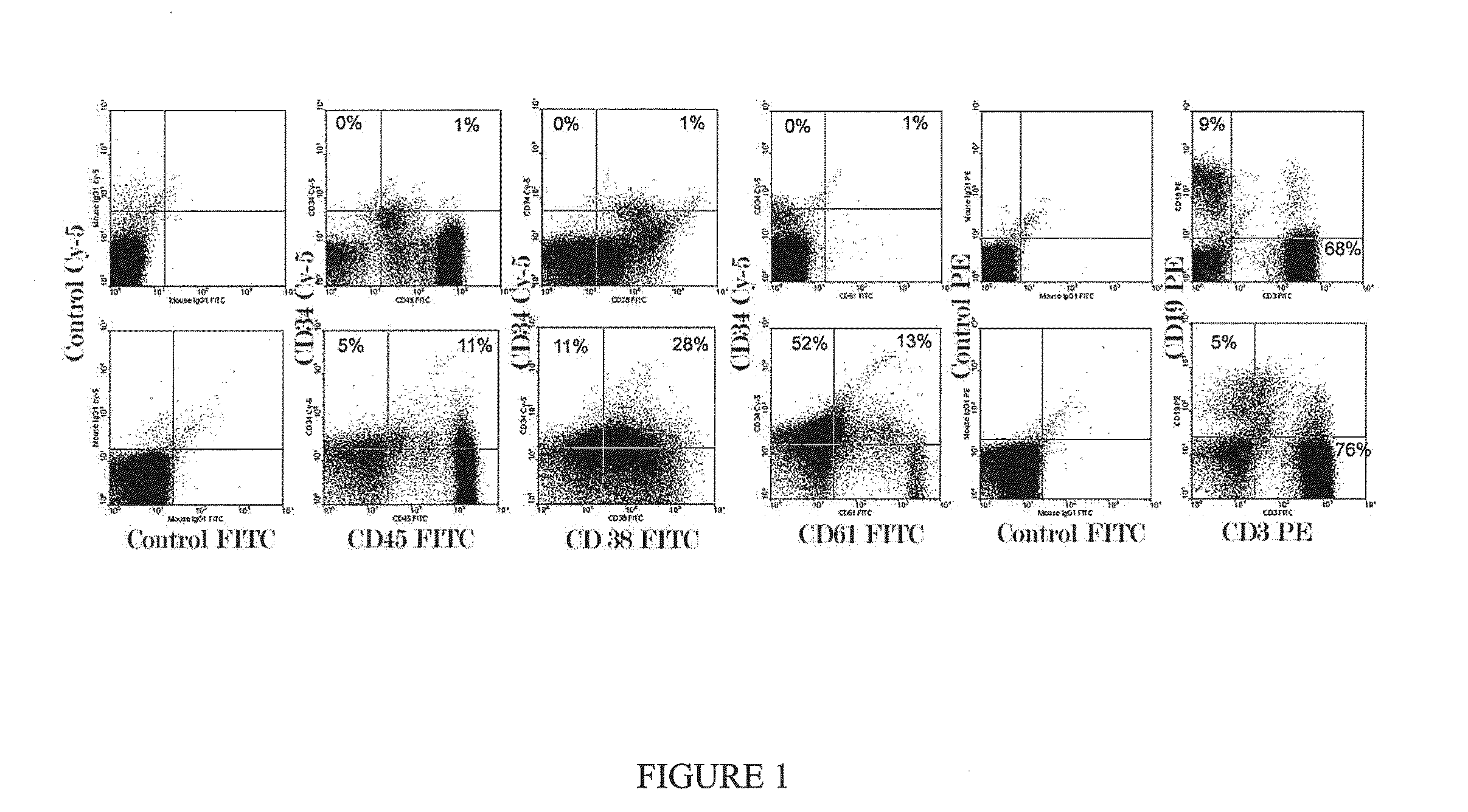 Treatment using reprogrammed mature adult cells