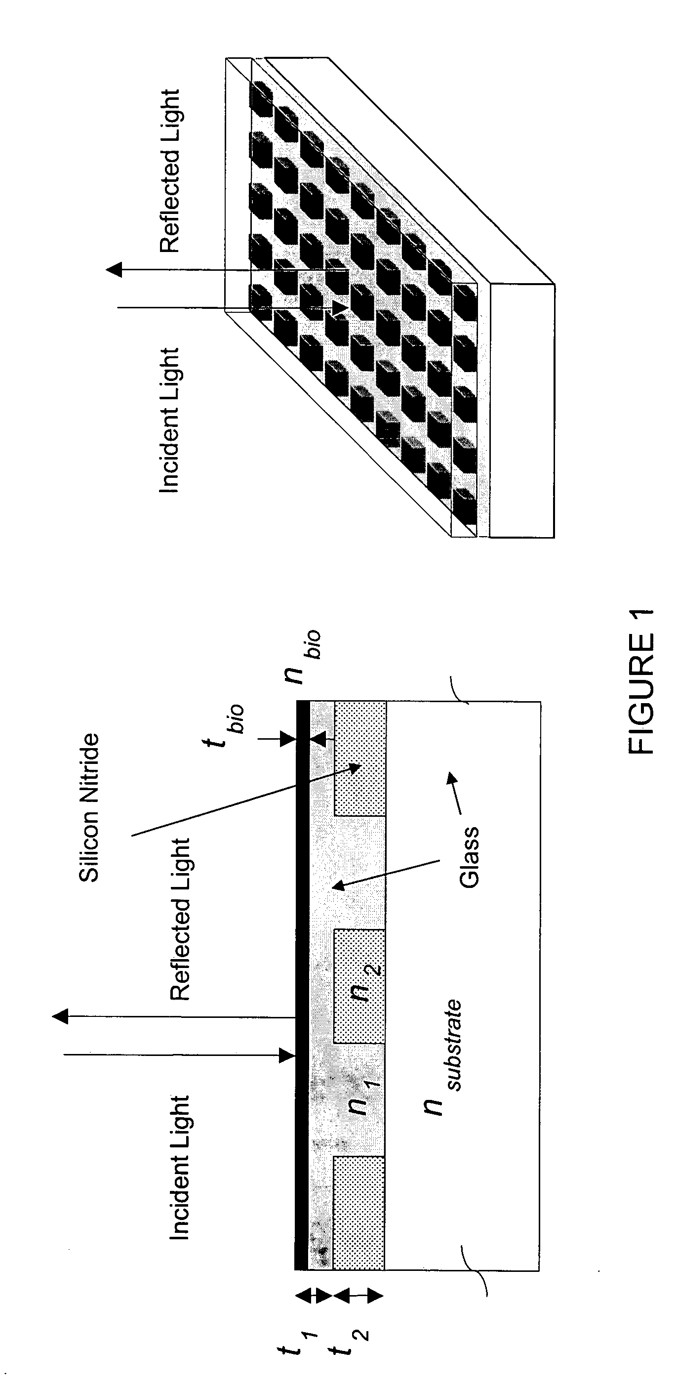 High-density amine-functionalized surface