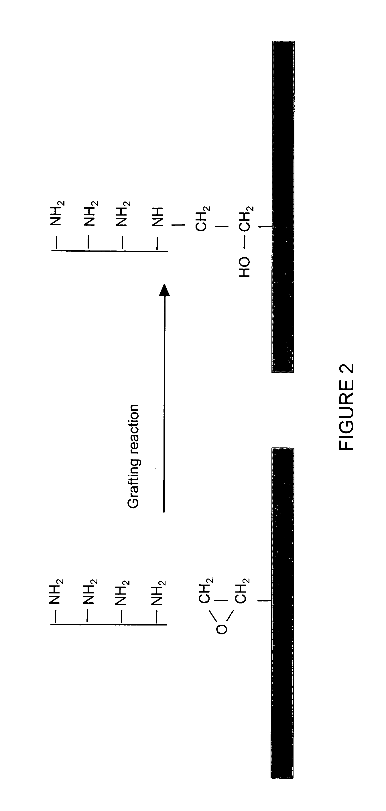 High-density amine-functionalized surface