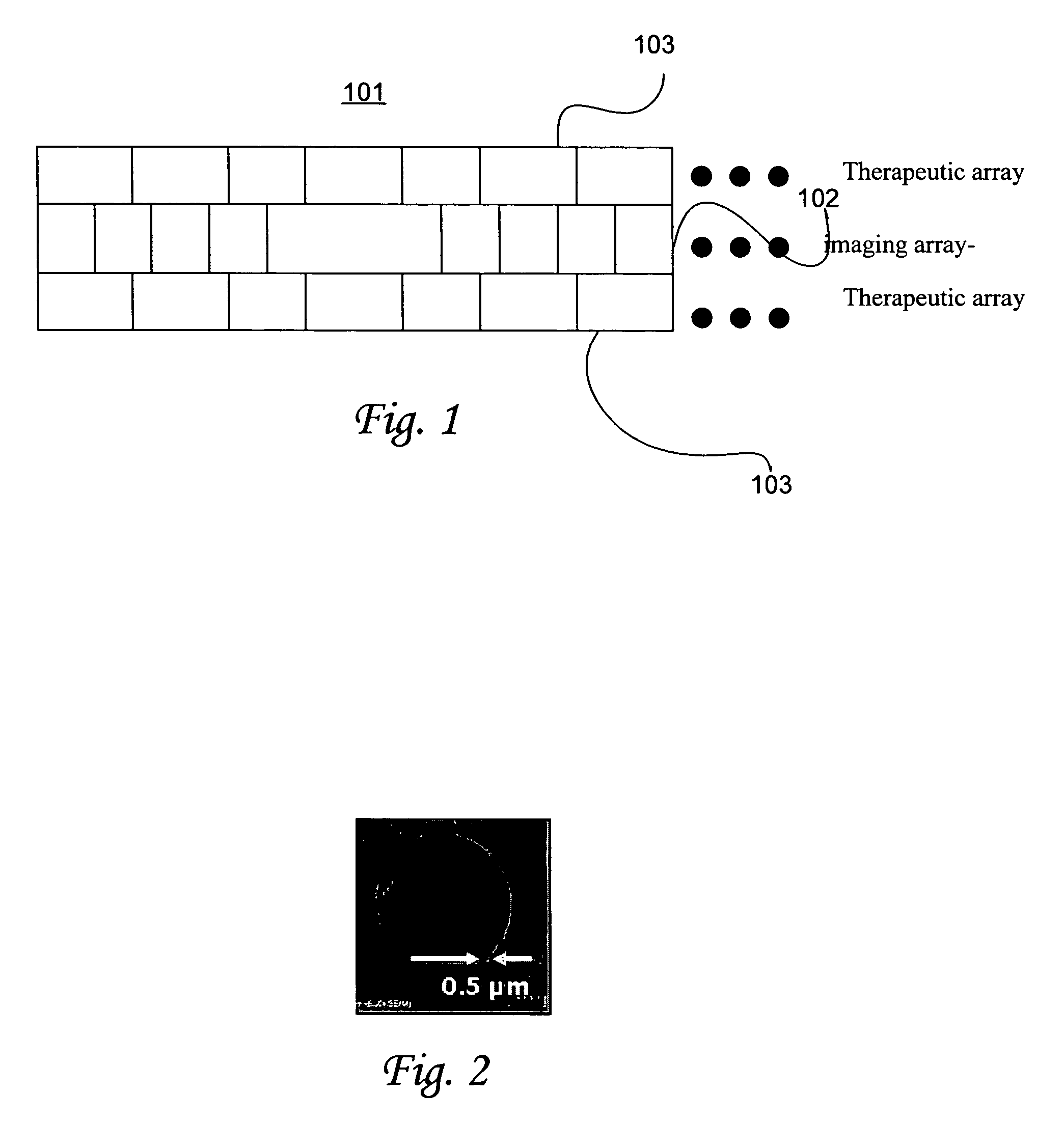 Ultrasonic concentration of drug delivery capsules