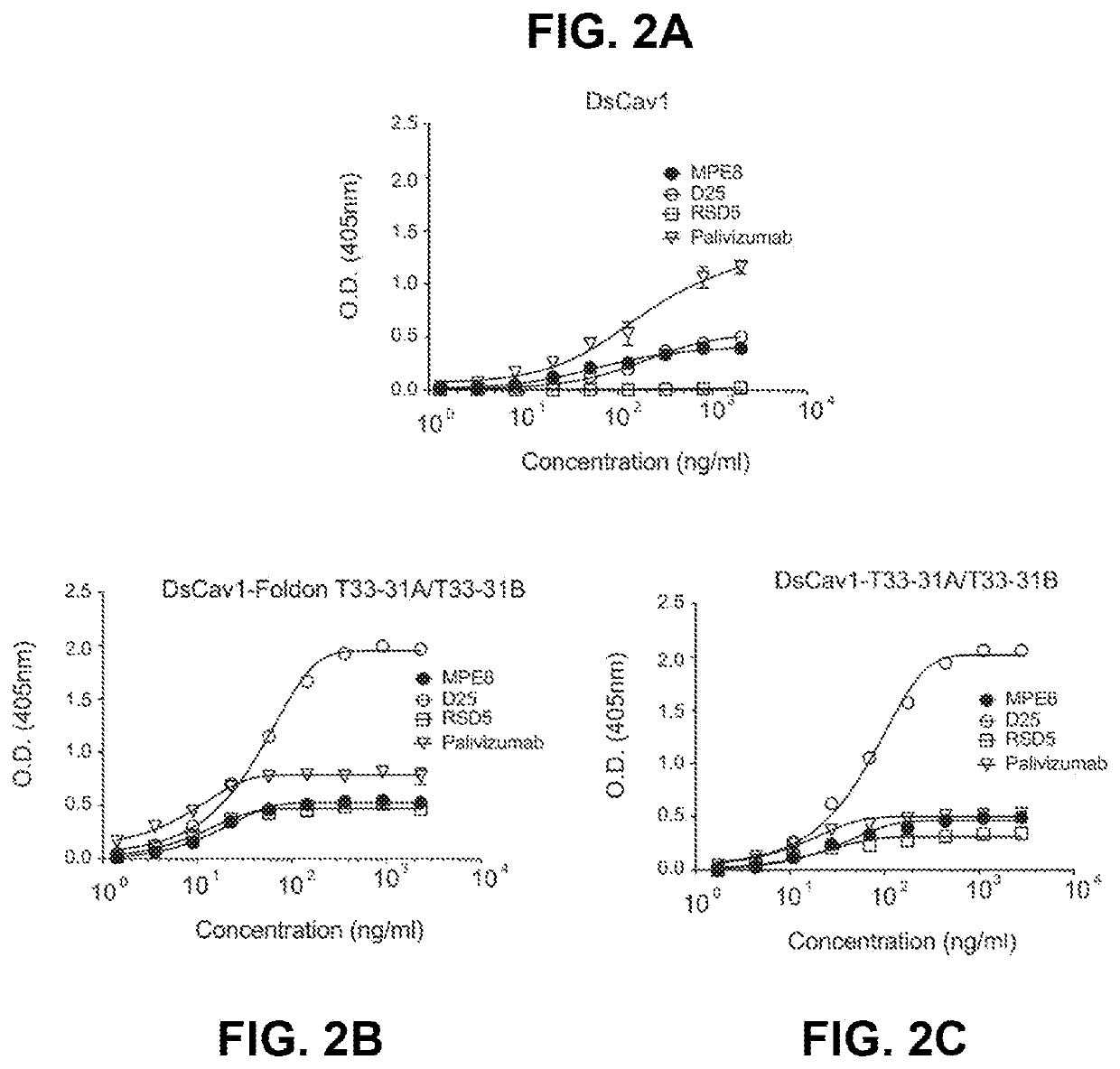 Self-asssembling nanostructure vaccines