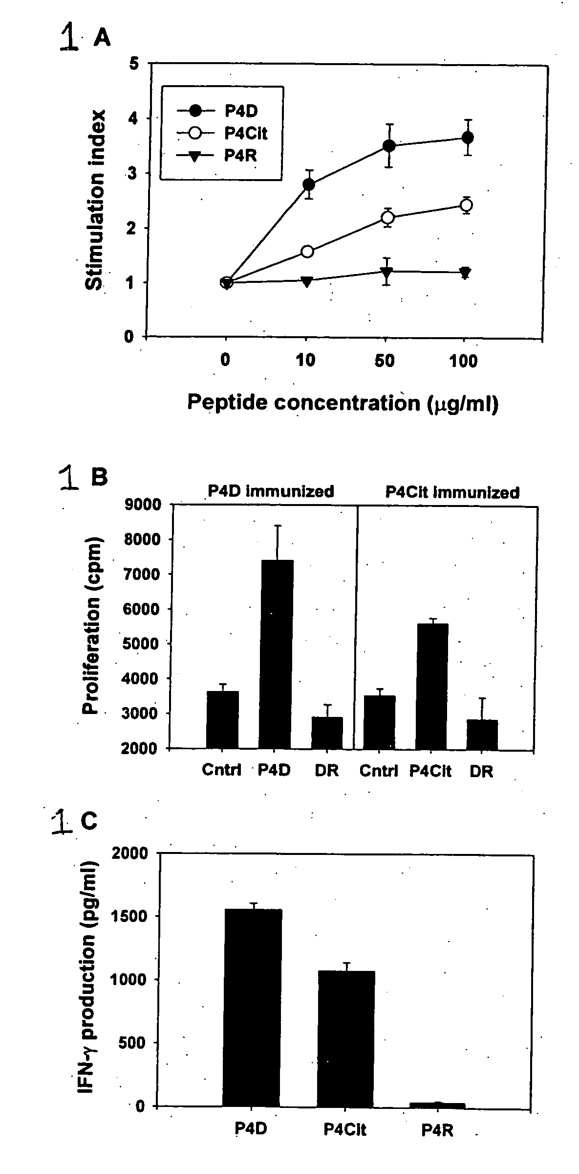 Peptides associated with HLA-DR MHC class II molecule and involved in Rheumatoid arthritis