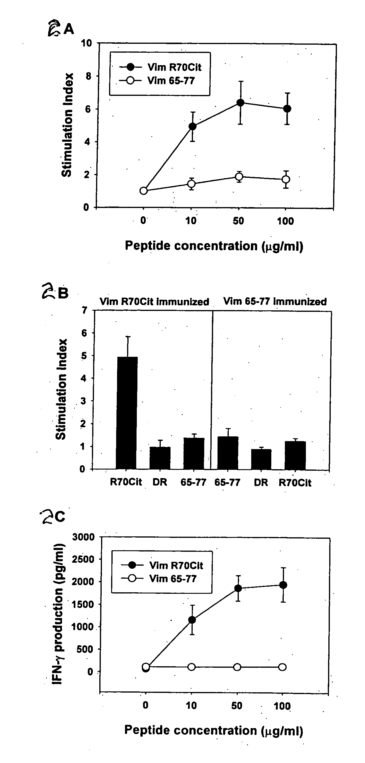 Peptides associated with HLA-DR MHC class II molecule and involved in Rheumatoid arthritis