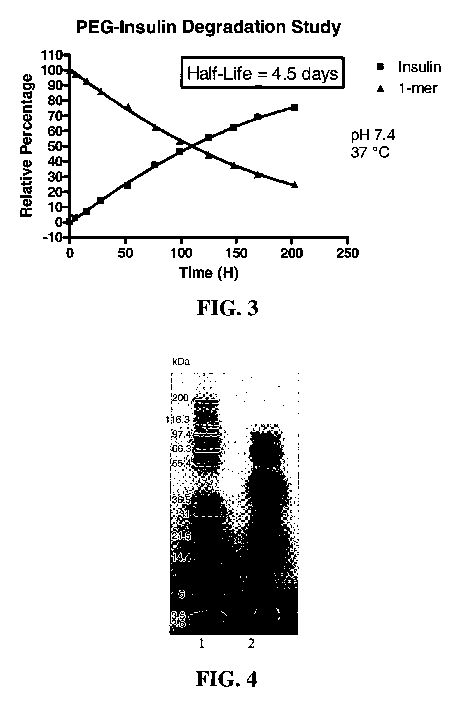 Conjugates having a degradable linkage and polymeric reagents useful in preparing such conjugates