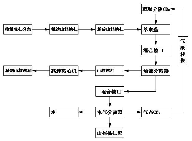 Method for extracting pecan oil by using supercritical carbon dioxide fluid