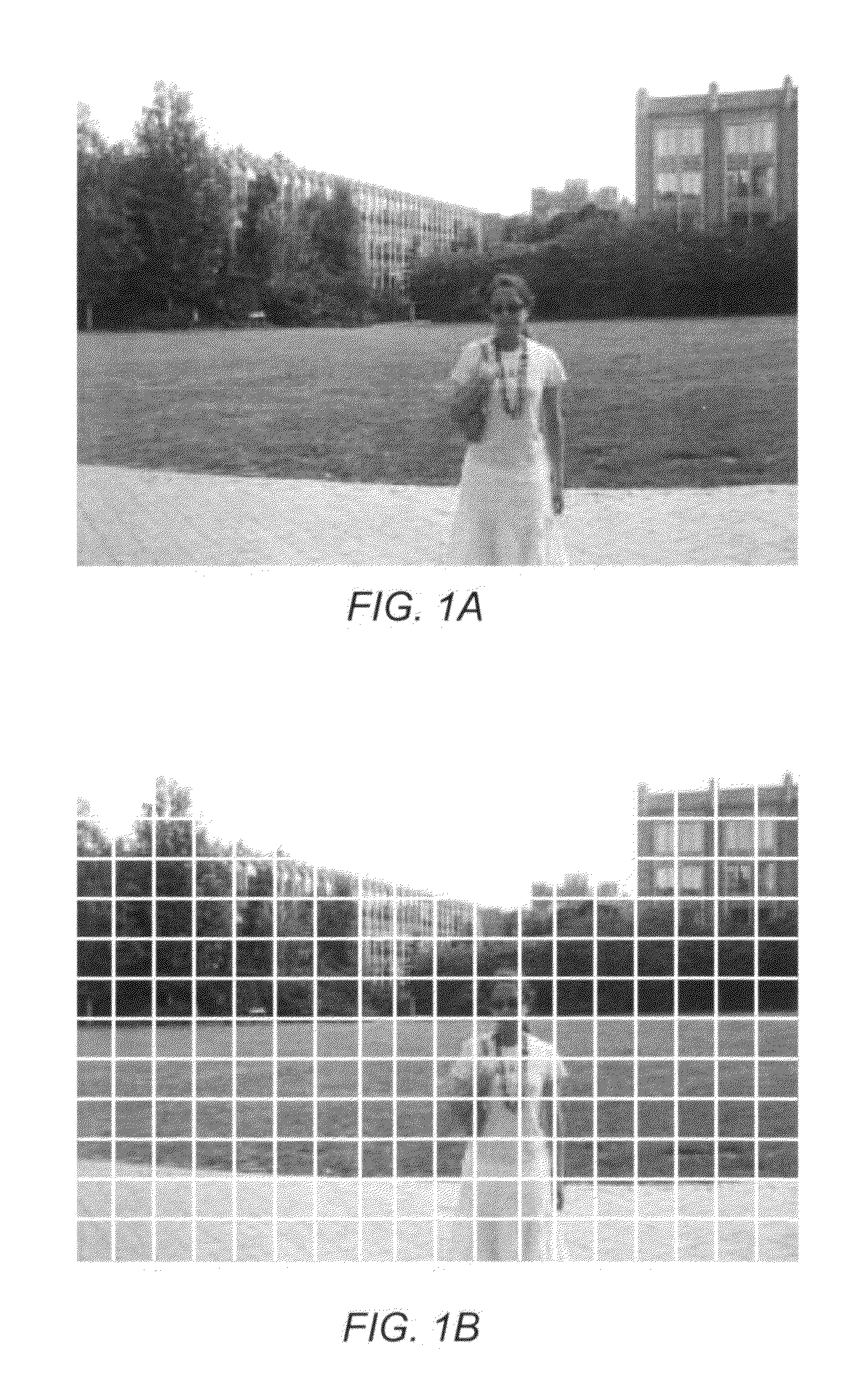 Patch jittering for visual artifact correction