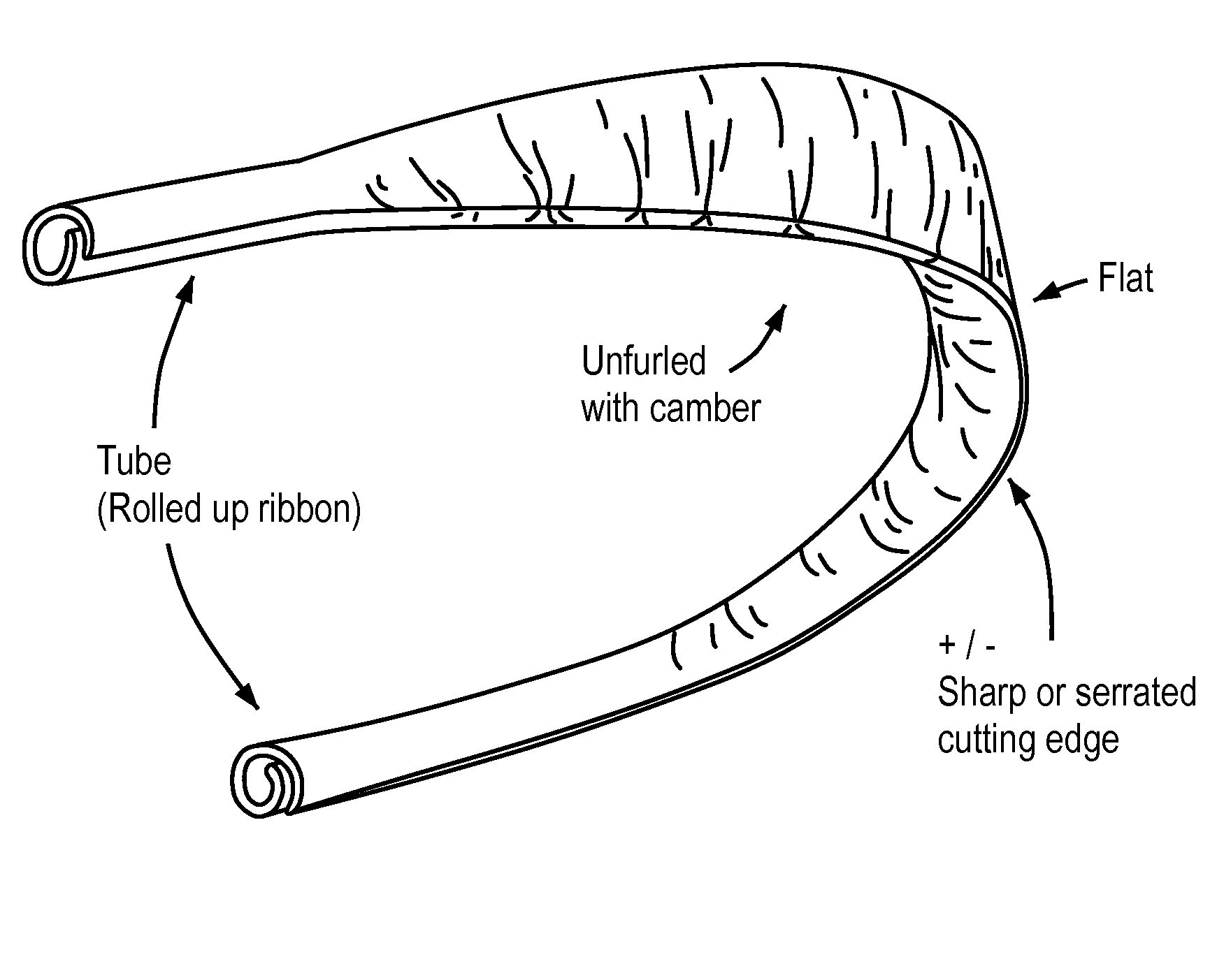 Access and tissue modification systems and methods