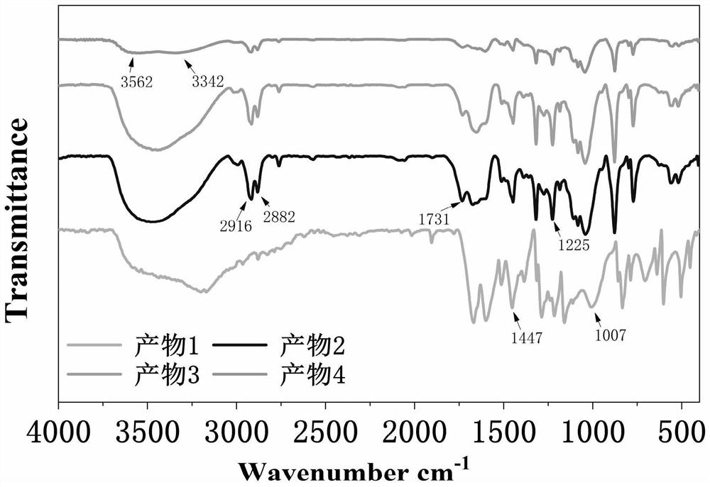 Amphiphilic ionomer enhanced healthy environment-friendly hot melt adhesive as well as preparation and application thereof