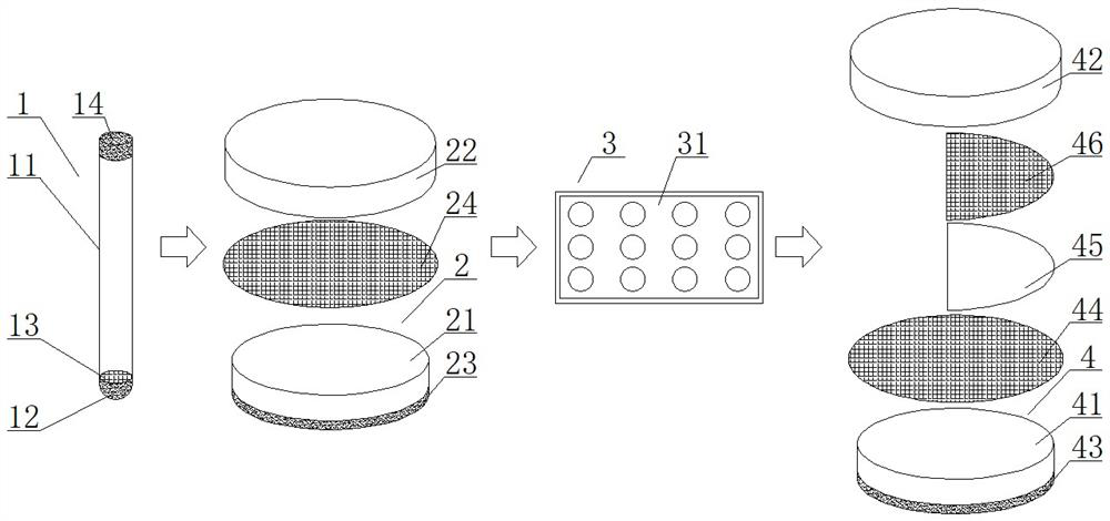 Laboratory culture system and method for blood-sucking midges