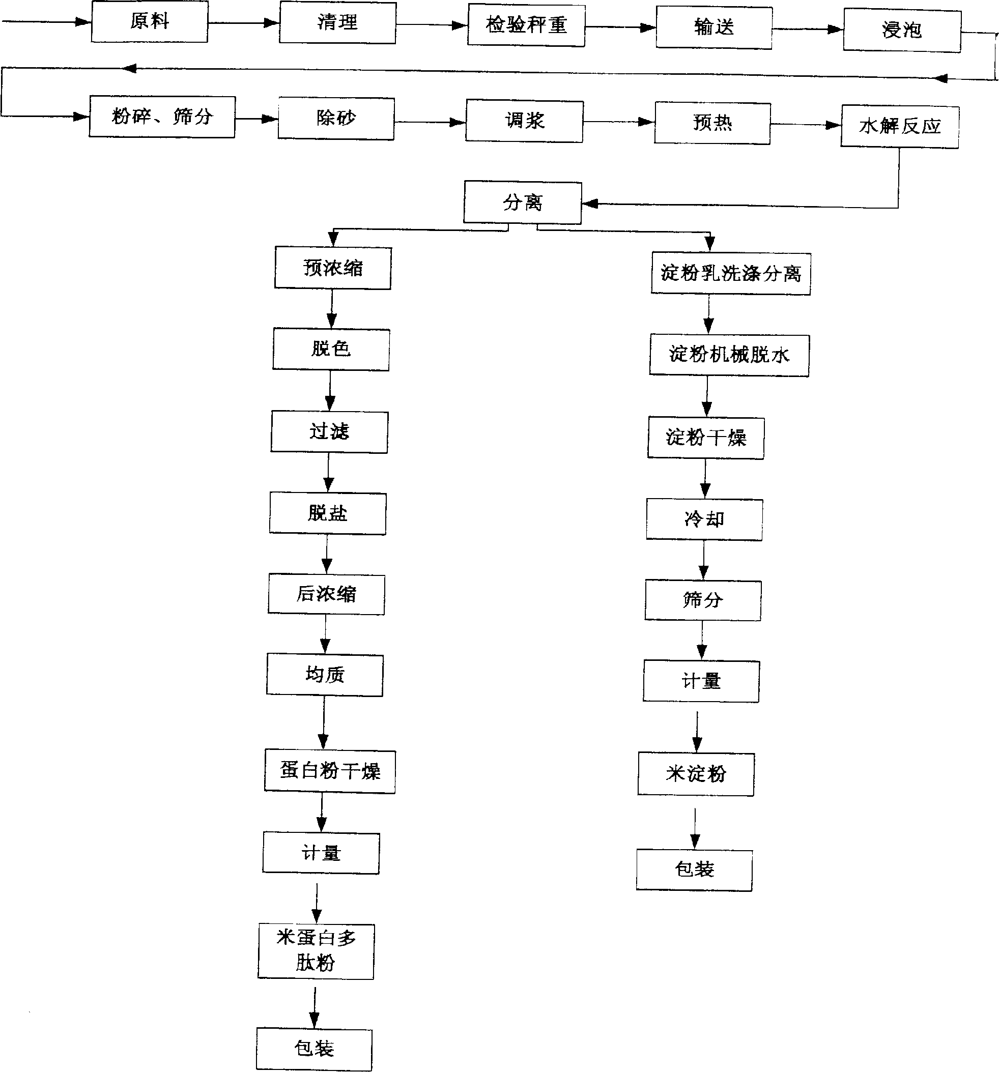 Production of rice-starch and rice-protein polypeptide powder by composite enzyme method