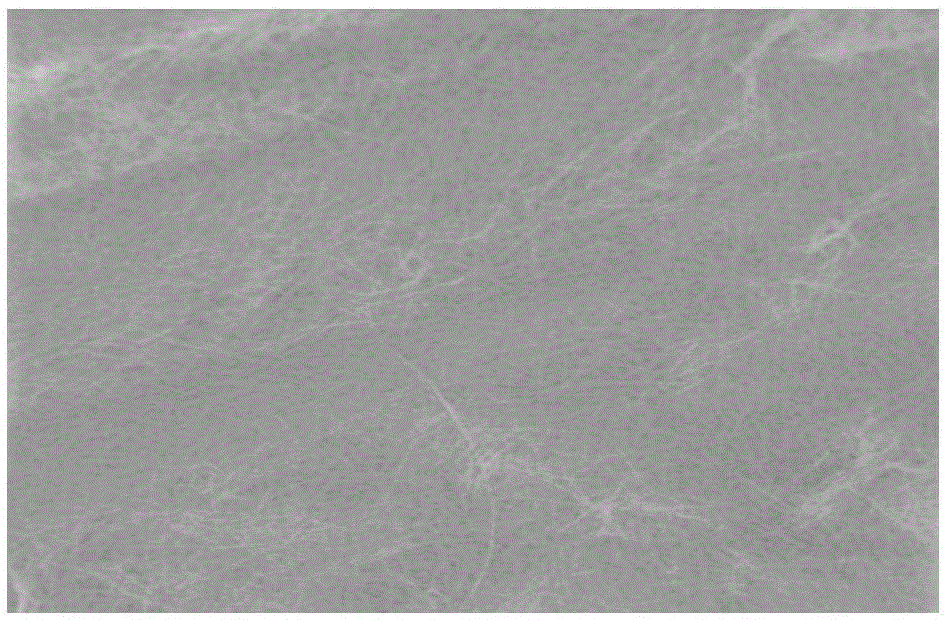 Making method for molybdenum oxide nano-fiber paper hydrogen sensor