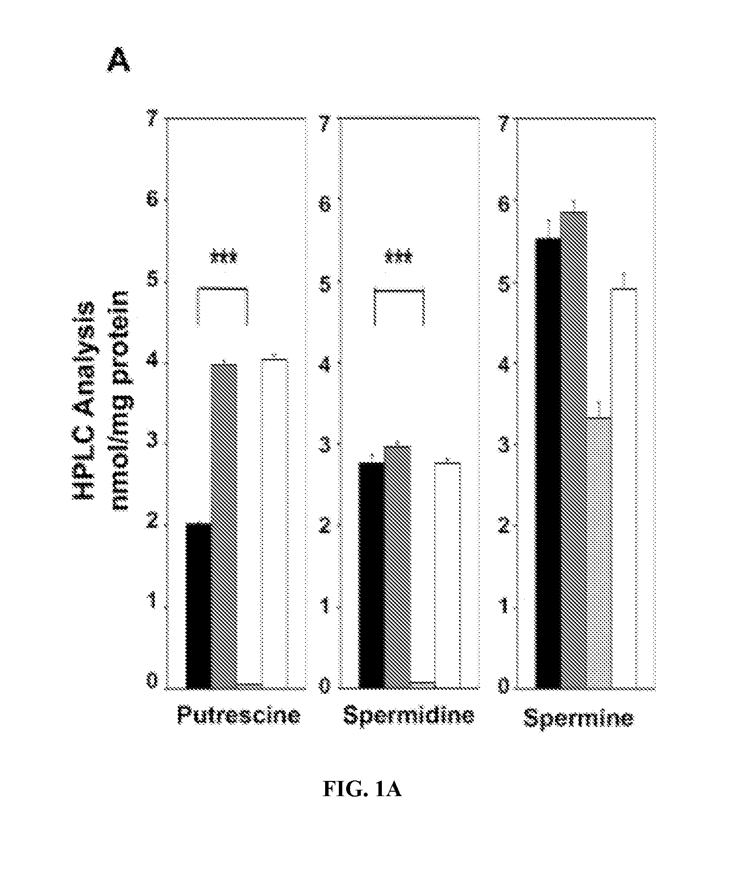 Predictive markers for polyamine inhibitor cancer therapies