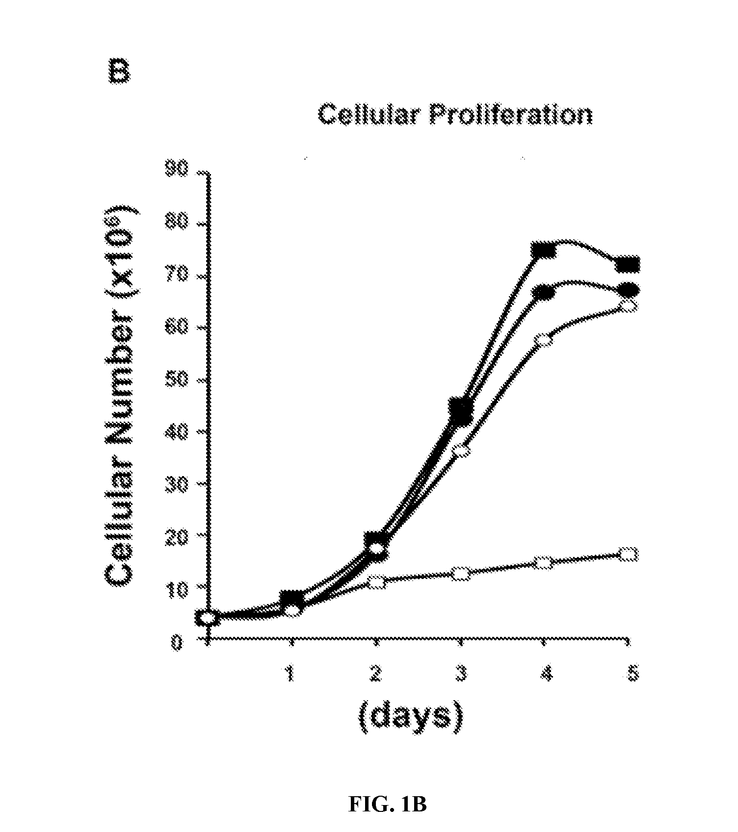 Predictive markers for polyamine inhibitor cancer therapies