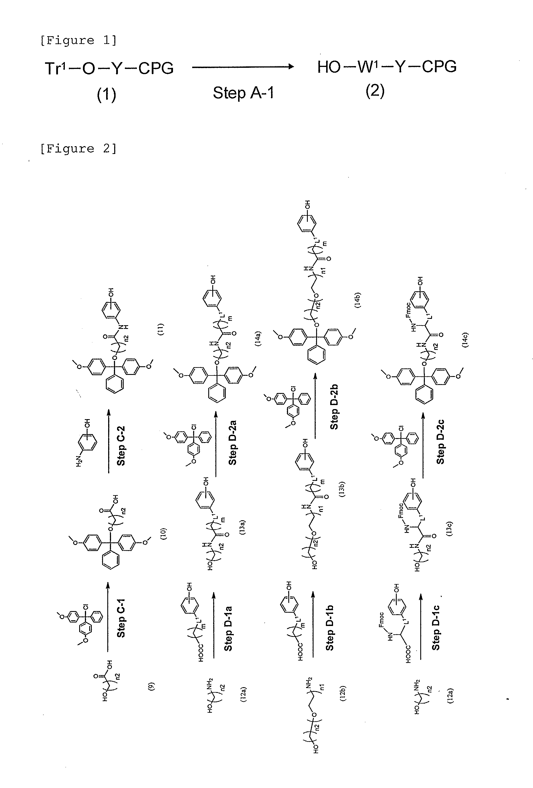 Modified Single-Stranded Polynucleotide