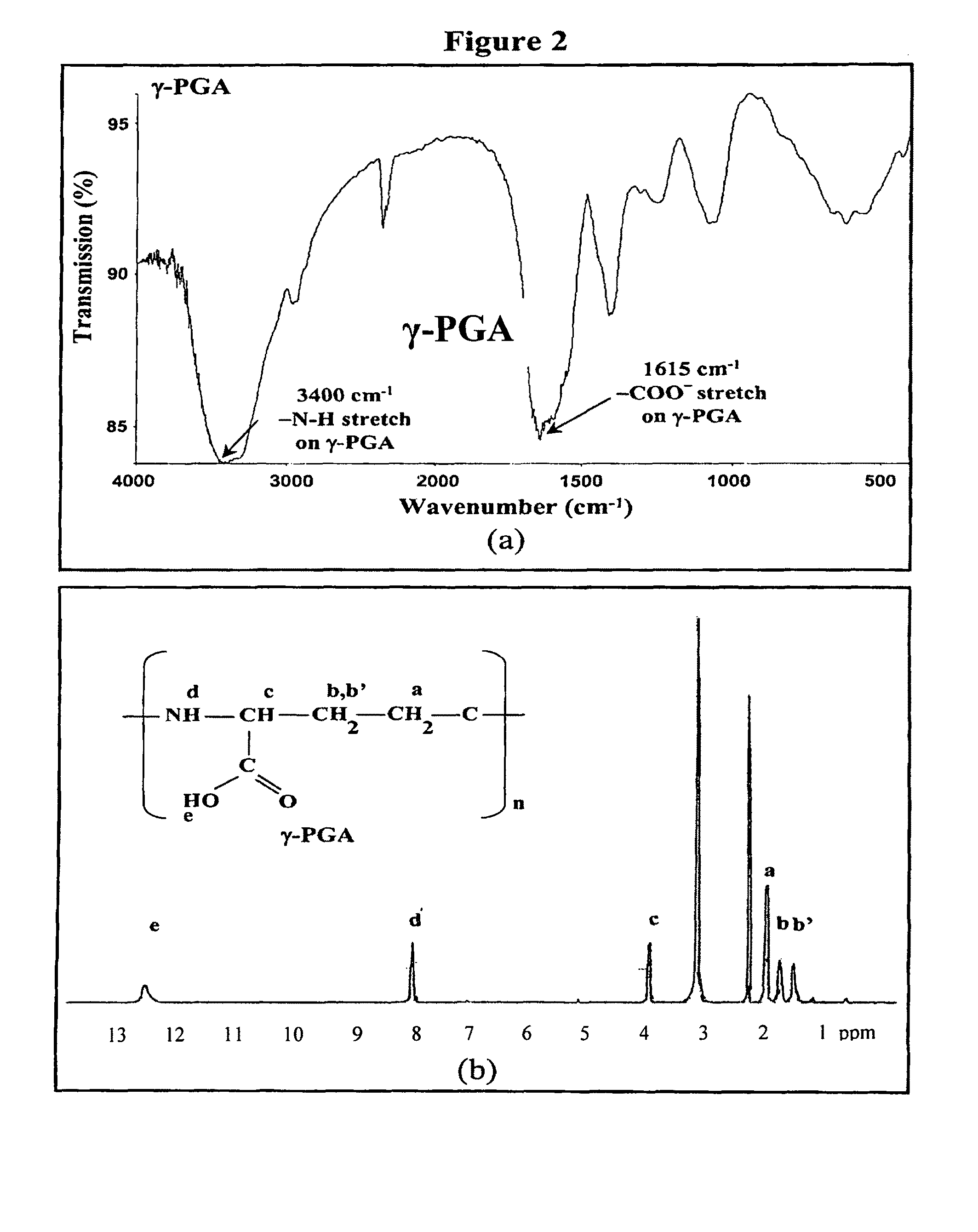 Pharmaceutical composition of nanoparticles for protein drug delivery