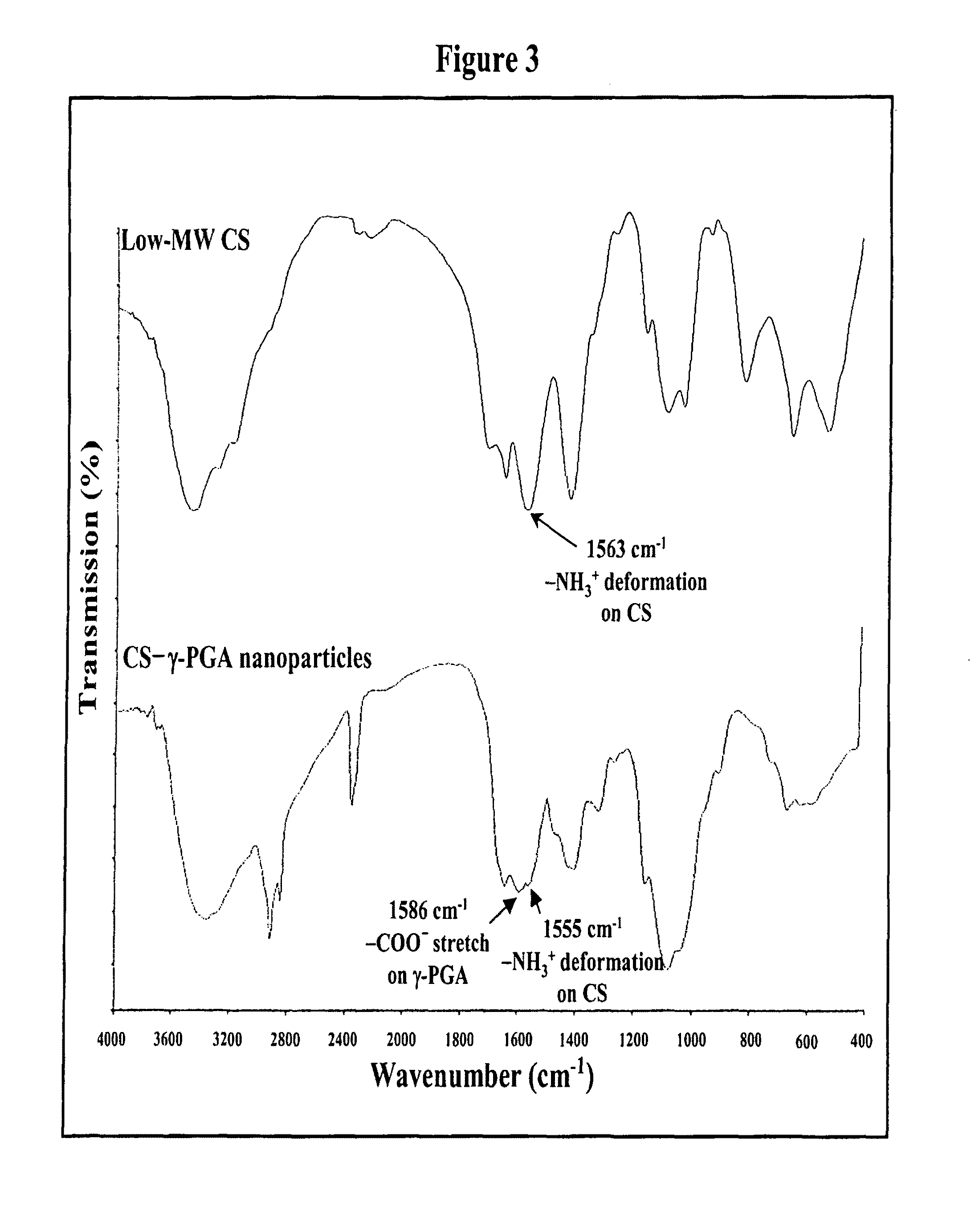 Pharmaceutical composition of nanoparticles for protein drug delivery