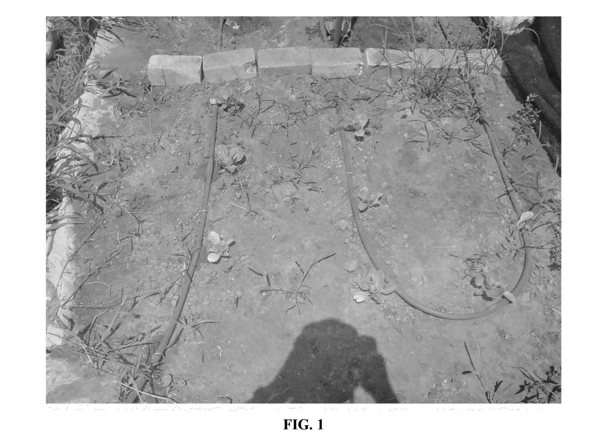 Composition for Improving Plant Growth and Yield and Method for Using Same