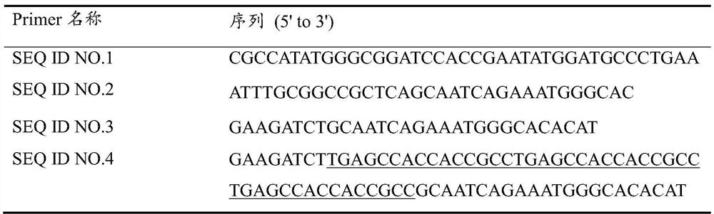 Homotype tandem polymer of BmSPI38 as well as construction method and application of homotype tandem polymer