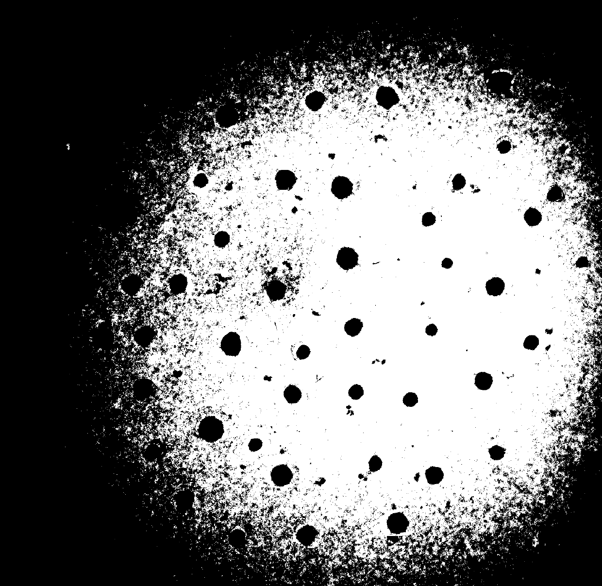 A kind of preparation method of water-soluble nanoparticles