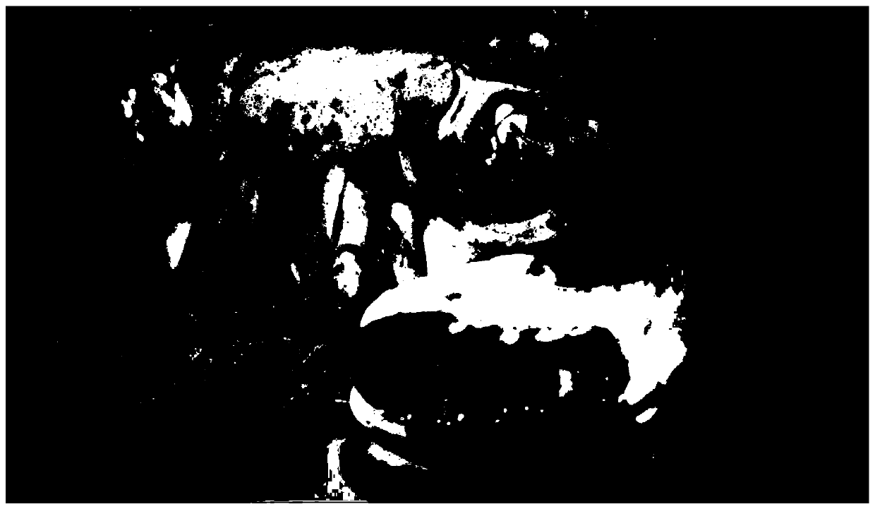 Industrial synchronous preparation method of scylla paramamosain soft-shell crabs